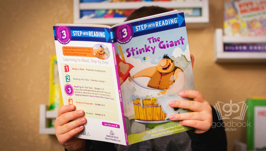 The Stinky Giant by Ellen Weiss and Mel Friedman