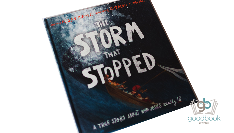 The Storm that Stopped by Alison Mitchell