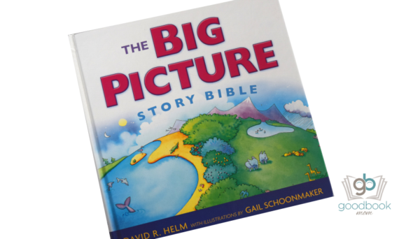 The Big Picture Story Bible by David R. Helm