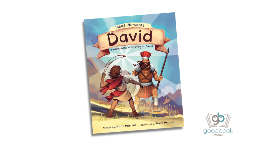 Jesus Moments: David by Alison Mitchell