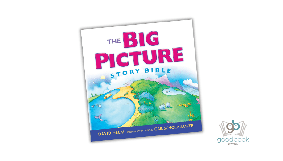 The Big Picture Story Bible by David R. Helm