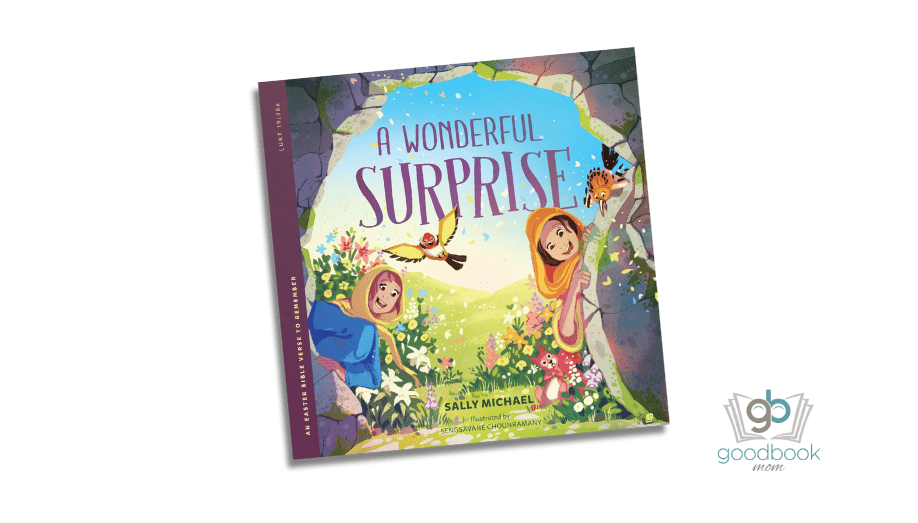 A Wonderful Surprise by Sally Michael