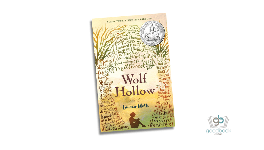 Wolf Hollow by Lauren Wolk